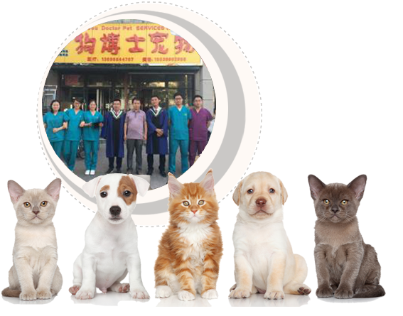 河南狗博仕寵物醫院有限公司